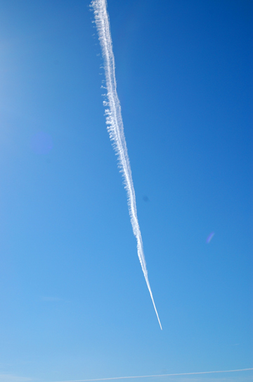 d0008146_981796.jpg