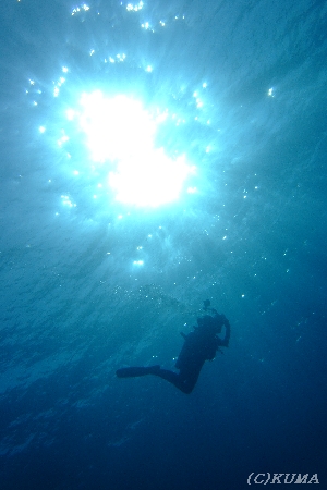 e0027447_16144448.jpg