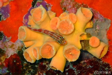 e0027447_20245460.jpg