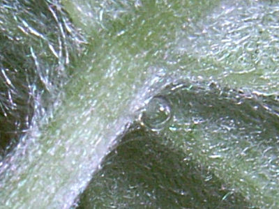 b0029648_12216.jpg