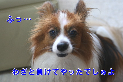 d0013149_23415119.jpg