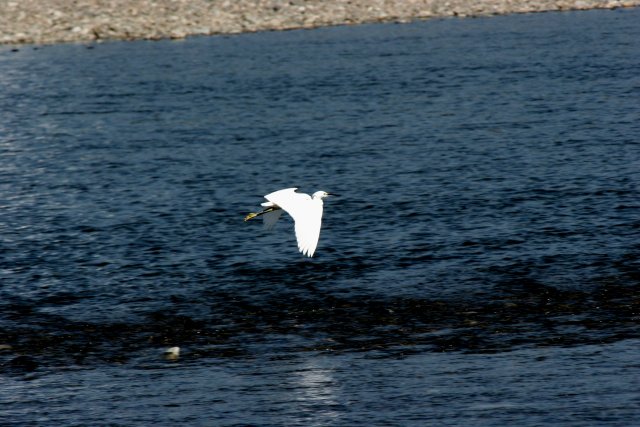 f0044056_2132218.jpg