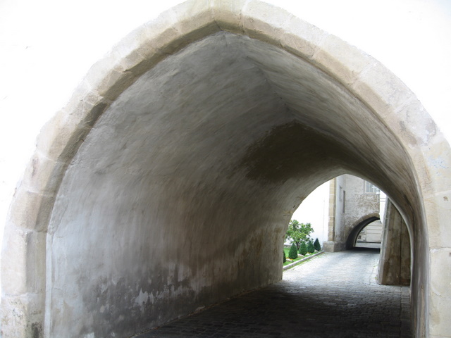 a0073357_17362125.jpg