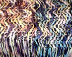 d0029958_1993479.jpg