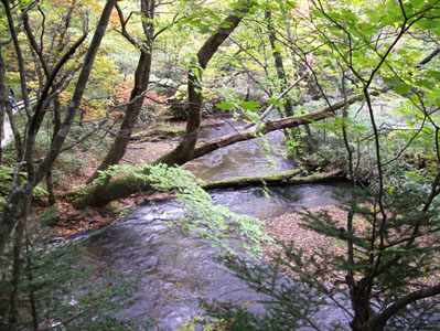 a0075661_14401950.jpg