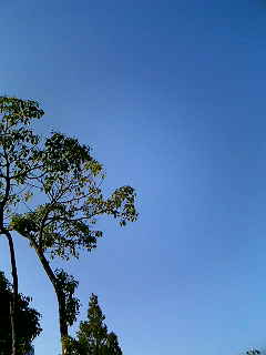 e0089761_16204688.jpg