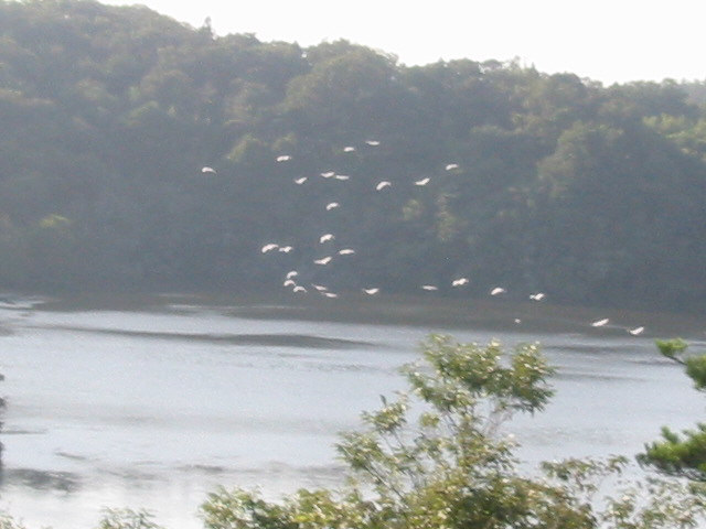 d0094868_18525869.jpg