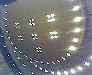 a0050669_1183373.jpg