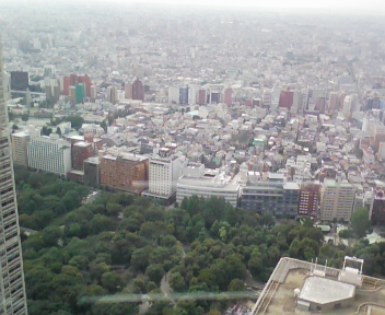 f0054677_5384341.jpg