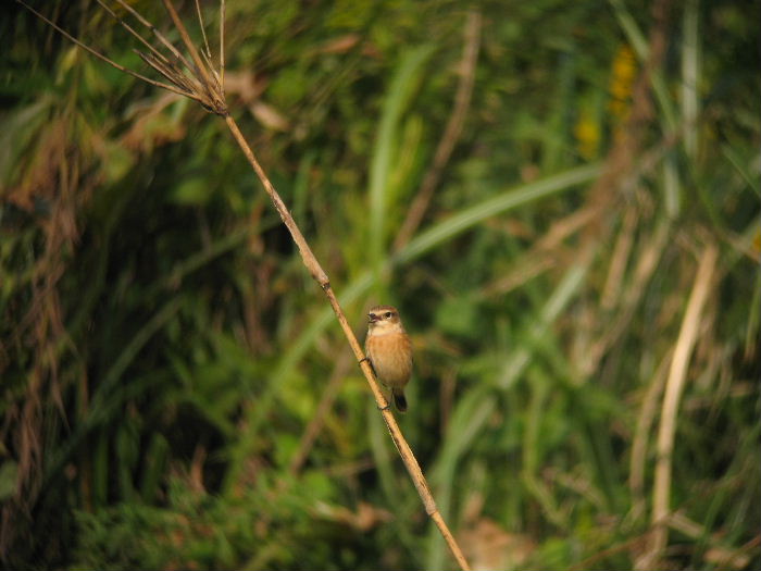 e0018678_20365049.jpg