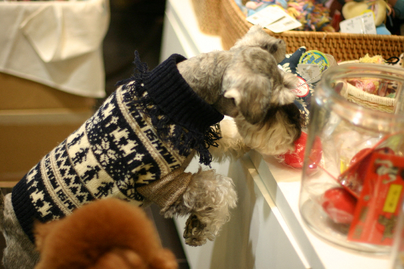 f0001895_17415947.jpg