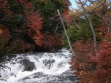 a0027598_22304122.jpg