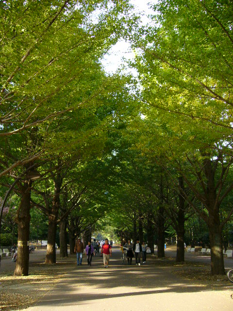 d0070702_3275076.jpg
