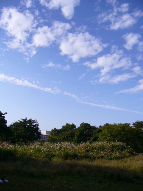 d0070702_3293458.jpg