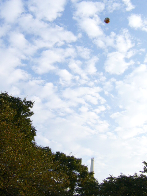 d0070702_351197.jpg