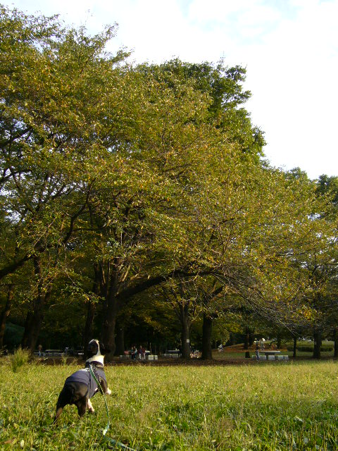 d0070702_401328.jpg