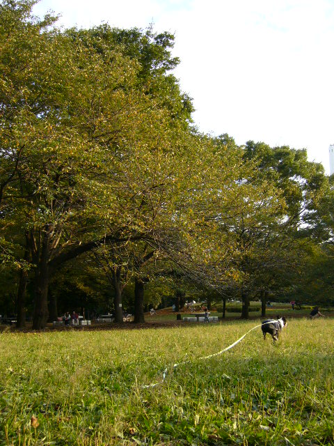 d0070702_404983.jpg