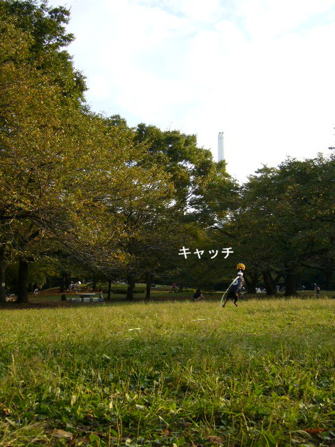 d0070702_41320.jpg