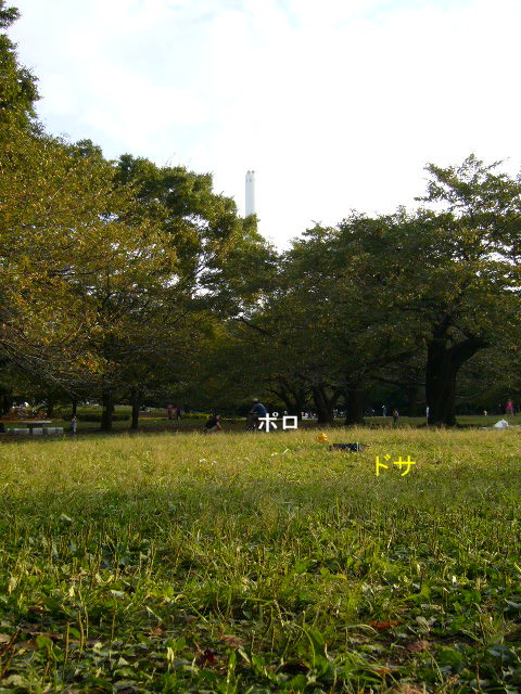 d0070702_423415.jpg