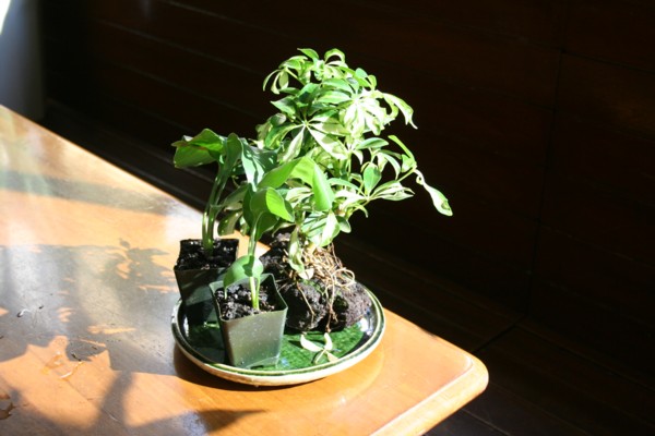 e0013207_13251540.jpg