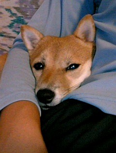 f0004309_17563762.jpg