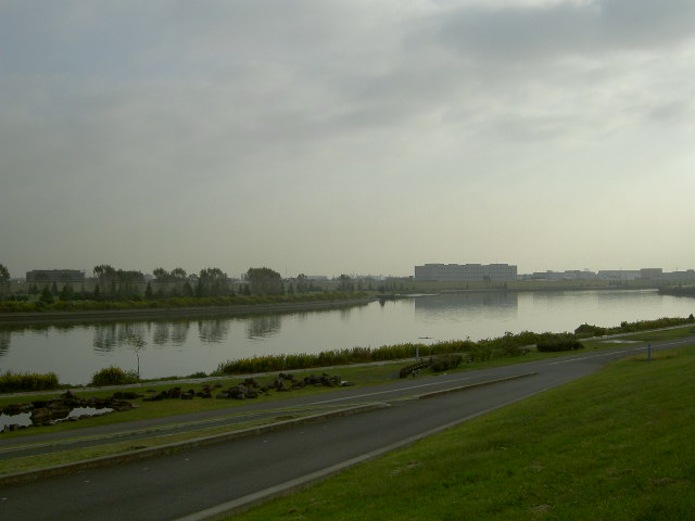 a0077616_9375682.jpg