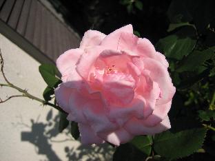 c0040218_19142754.jpg