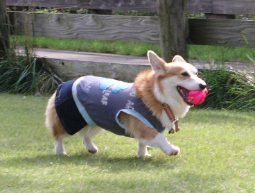 e0071225_2333691.jpg