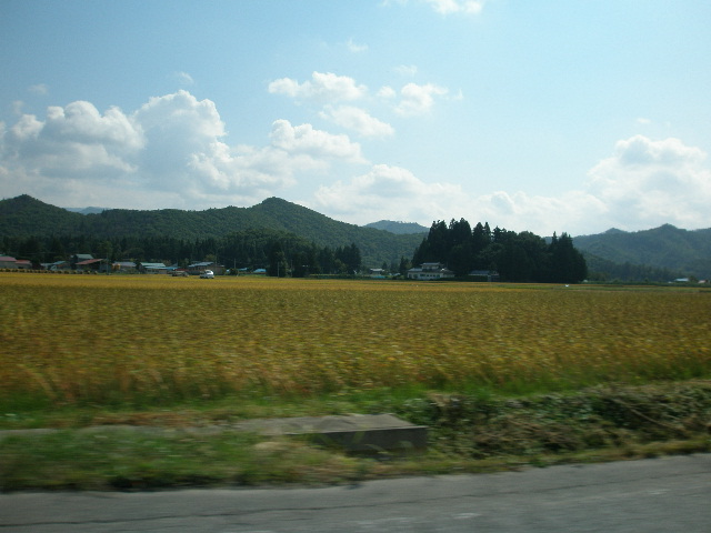 e0065830_20125761.jpg
