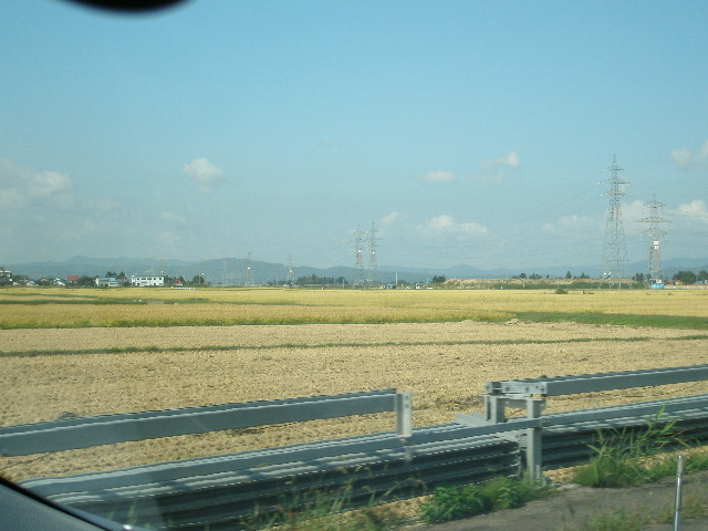 e0065830_2012970.jpg