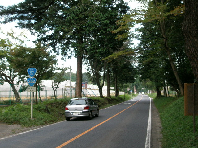 e0065830_2074443.jpg