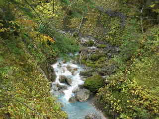 e0065830_211598.jpg