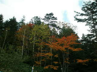 e0065830_2122225.jpg