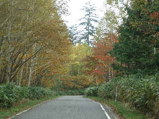 e0065830_2133424.jpg