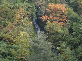 e0065830_2164049.jpg