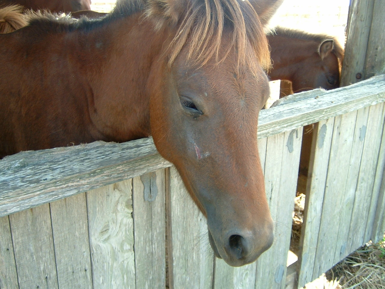 f0032534_12521435.jpg