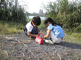 f0039934_22482985.jpg