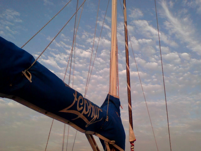 a0072337_4593284.jpg