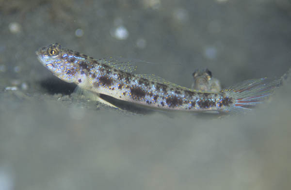 b0042837_2057545.jpg