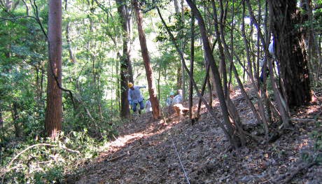 e0049740_2054730.jpg