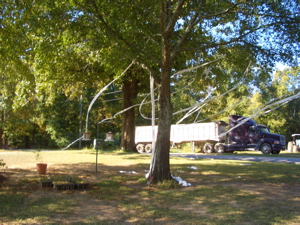 f0107640_1029447.jpg