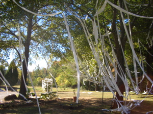 f0107640_104642100.jpg