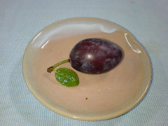 e0005548_1181918.jpg