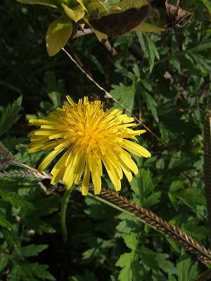 f0068649_22423944.jpg