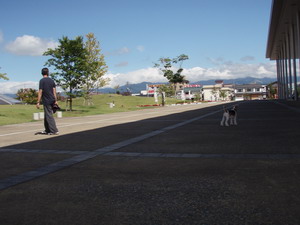 f0081049_06333.jpg
