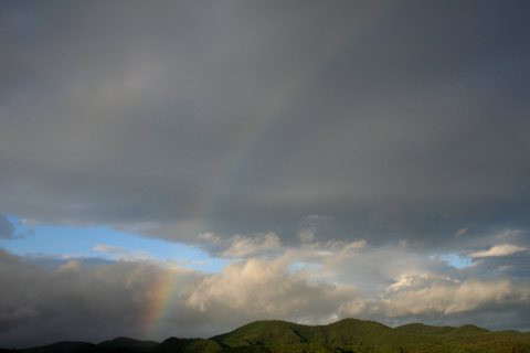 a0024250_23225624.jpg