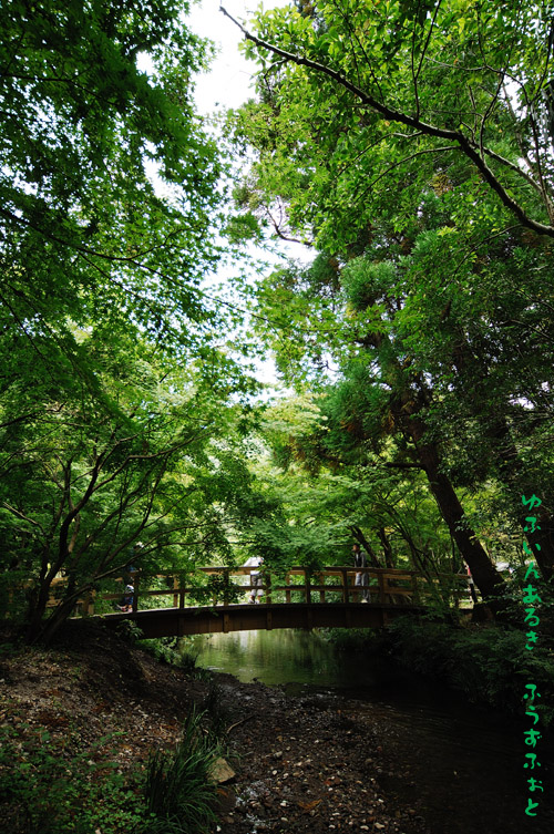 d0013363_2222691.jpg