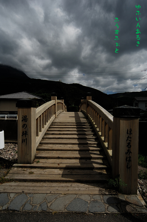 d0013363_225089.jpg