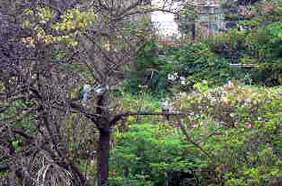 f0086169_8163047.jpg