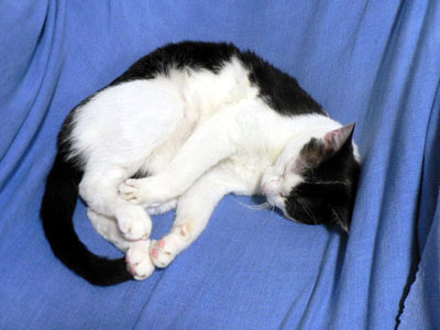 f0086169_845946.jpg